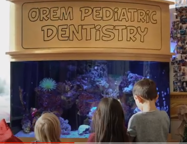 A group of children looking at a fish tank, The Vital Role of Pediatric Dentistry: Why Your Child Should Visit a Pediatric Dentist